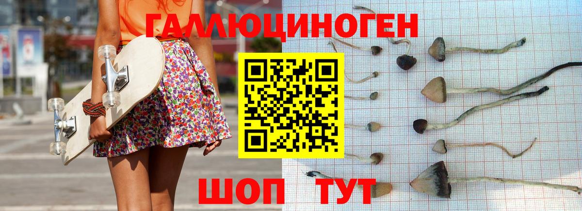 Пушкино  Псилоцибиновые грибы ЛСД  Псилоцибиновые грибы Magic Shrooms  Вход с VPN 