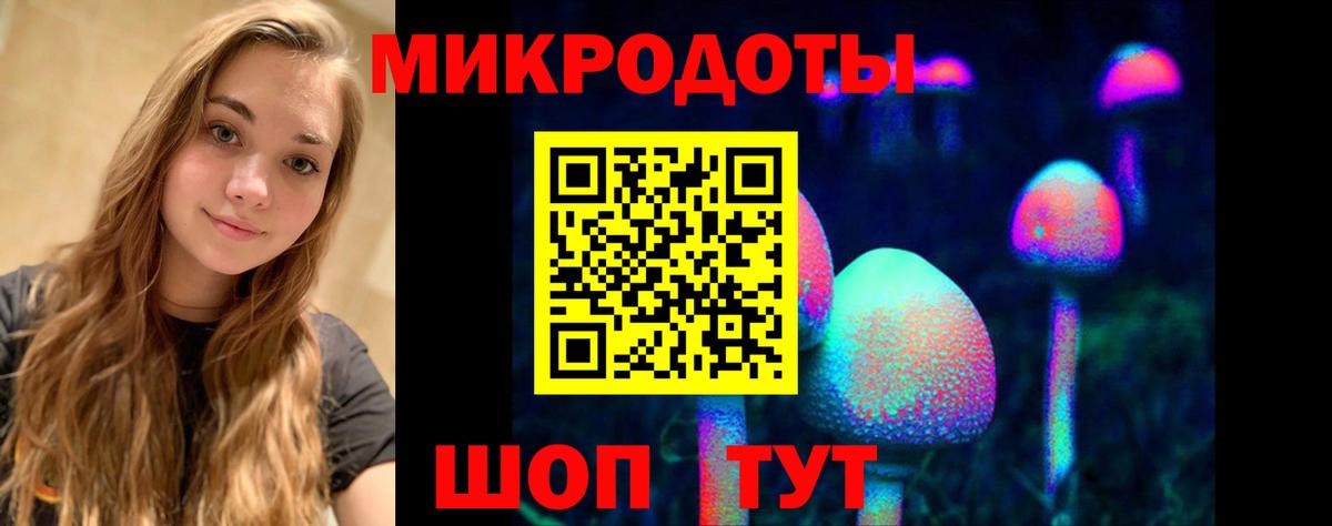 Псилоцибиновые грибы Psilocybine cubensis Пушкино